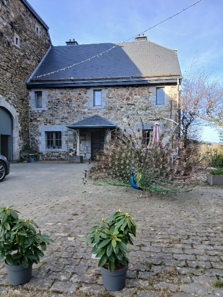 La ferme du château (STOUMONT)